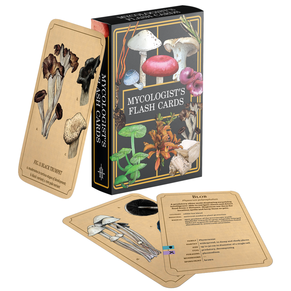 Mycologist's Primer: Flash Cards (New Arrival)